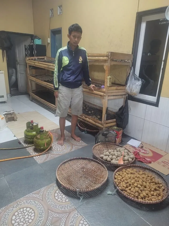 Bakso