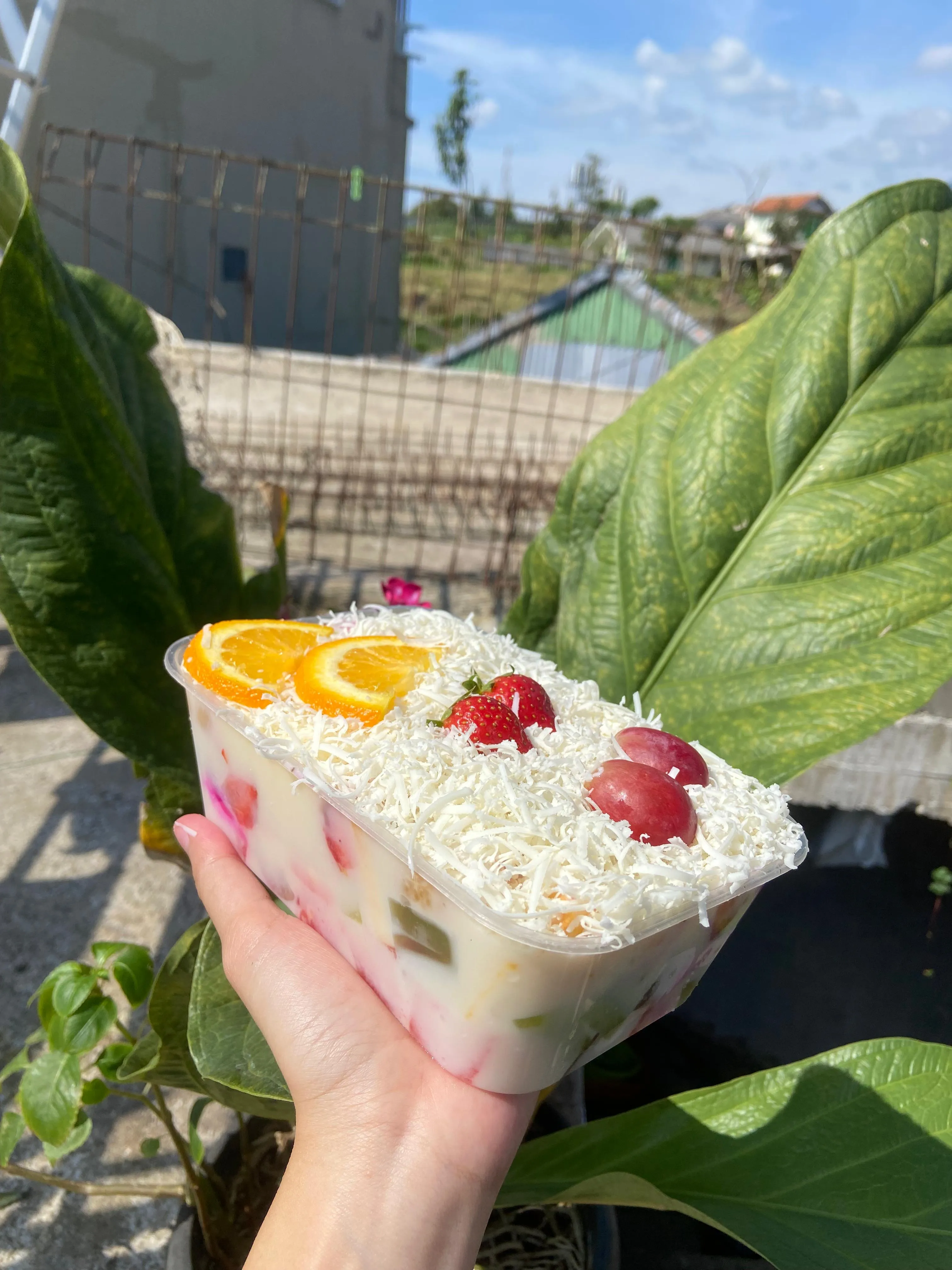 salad buah
